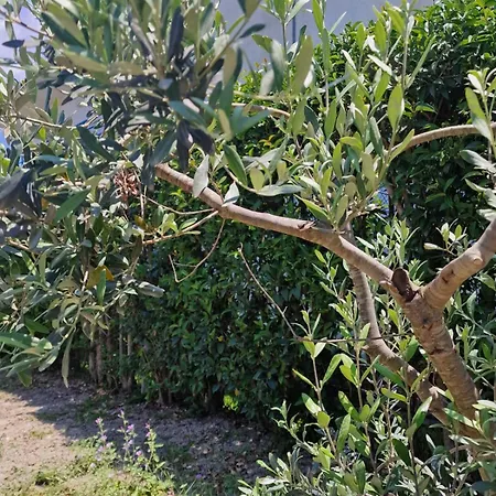 Apartament Garden Possidi