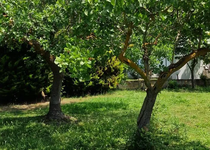 Garden *